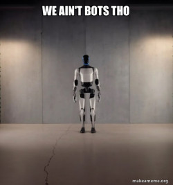 Tesla Robot