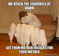 Scumbag Storytelling Dog