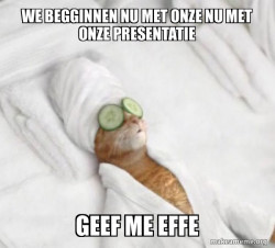 Pampered Cat Meme