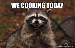 Evil Plotting Raccoon