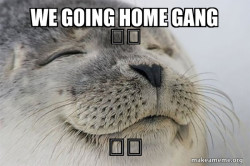 Satisfied Seal