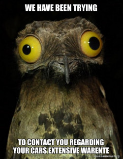 Weird Stuff I do Potoo