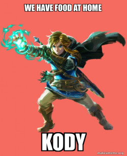 Link from Zelda