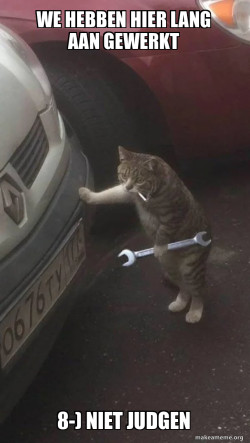 Mechanic Cat