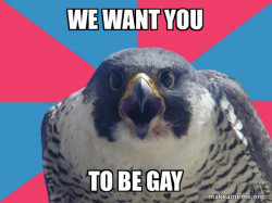 Millennial Falcon
