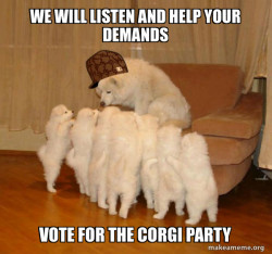 Scumbag Storytelling Dog