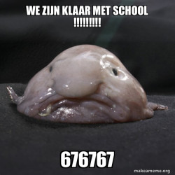 Blobfish
