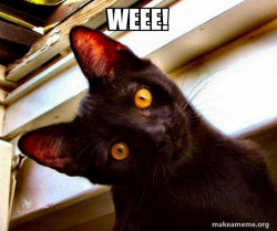Overly Attached Cat