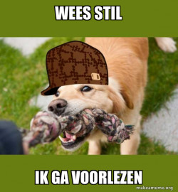 Scumbag dog
