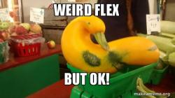 Gourd Advice Mallard