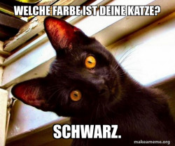 Overly Attached Cat