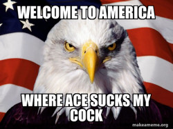 American Pride Eagle