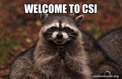 Evil Plotting Raccoon