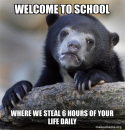 Confession Bear