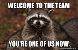 Evil Plotting Raccoon