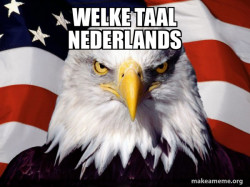 American Pride Eagle