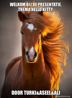 Ridiculously photogenic horse