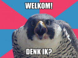 Millennial Falcon