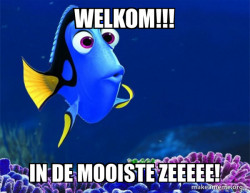 Dory from Nemo  (5 second memory)