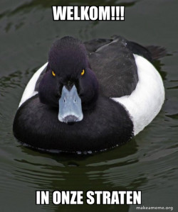 Revenge Duck ( Angry Advice Duck )