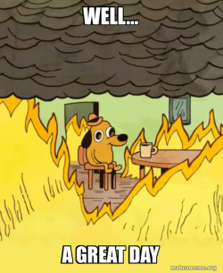 This Is Fine