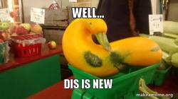 Gourd Advice Mallard