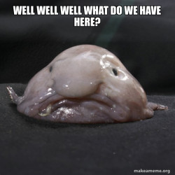 Blobfish