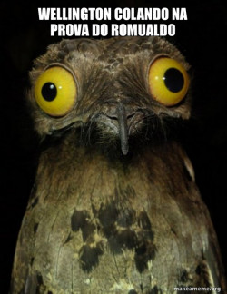 Weird Stuff I do Potoo