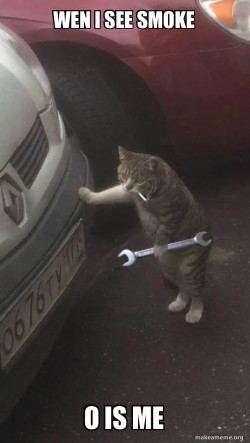Mechanic Cat
