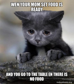Confession Cat