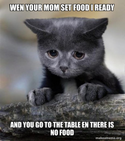 Confession Cat