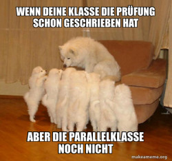 Storytelling Dog