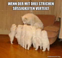 Storytelling Dog
