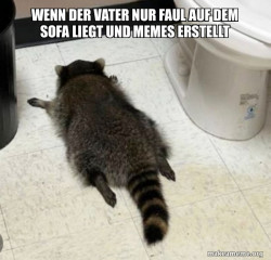 Drunk Raccoon