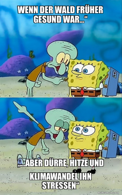 SpongeBob, merkst du nicht? Die DÃ¼rre macht unseren Wald kaputt.