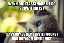 First World Cat Problems