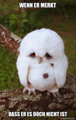 Sad Owl