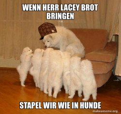 Scumbag Storytelling Dog