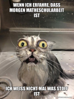 Cat bath