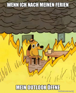 This Is Fine