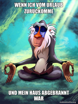 Rafiki Meditating - Lion King