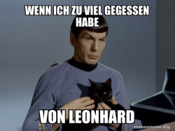 Spock and Cat Meme