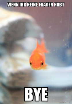 Grumpy Fish