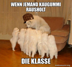 Scumbag Storytelling Dog