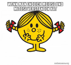 Little Miss Sunshine