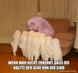 Malicious Storytelling Dog