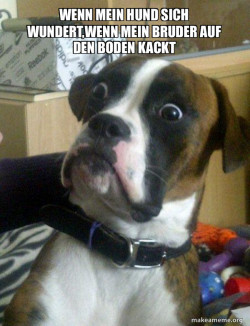 Skeptical Dog