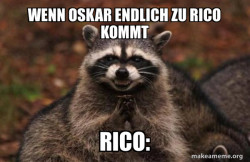 Evil Plotting Raccoon