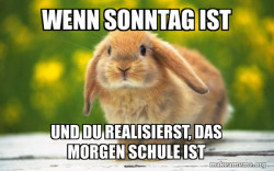 Regretful Rabbit