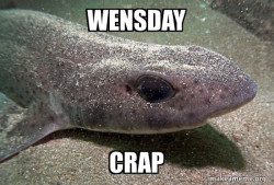 Dirty Joke Dogfish